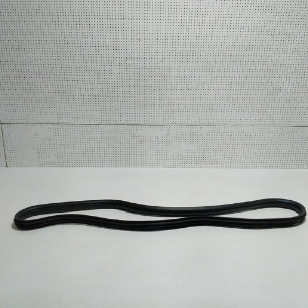 Borracha Vidro Lateral Tras Esq G.carnival 2009 Sku 61160