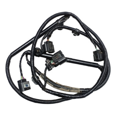 Chicote Traseiro Do ...