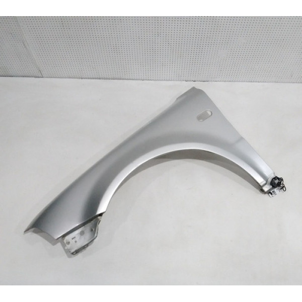 Paralama Esquerdo Volkswagen Passat 2001 49461