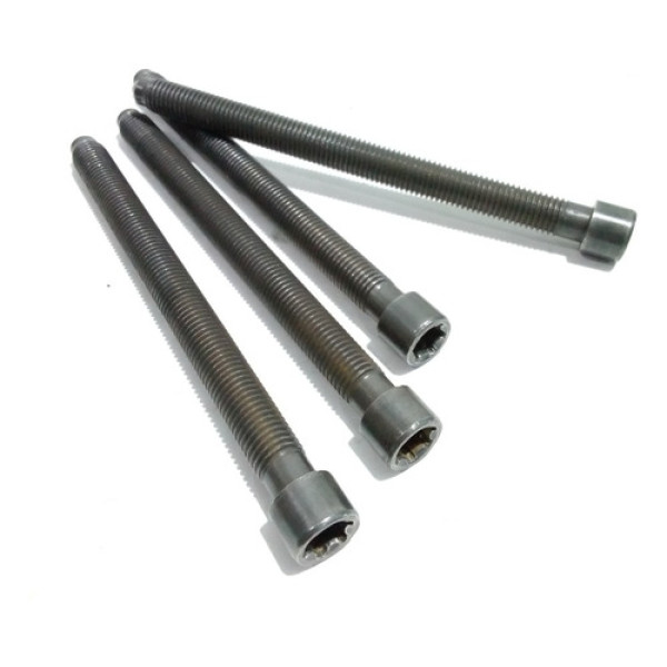 Kit De Parafusos Do Cabeçote Audi A6 2.8 2001 Cod 57681