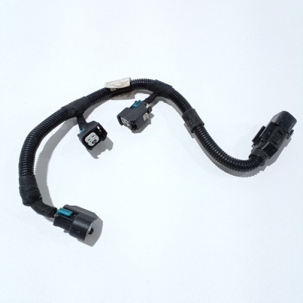 Chicote Dos Bicos Injetores Traseiro Carnival 2009 Cod 53442