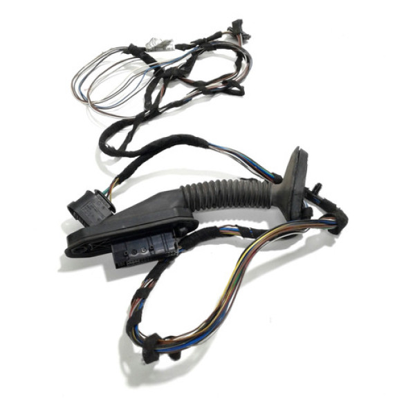 Chicote Da Porta Traseira Direita - Bmw 320 2012