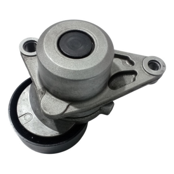 Esticador Da Correia Do Motor Citroen C3 2013