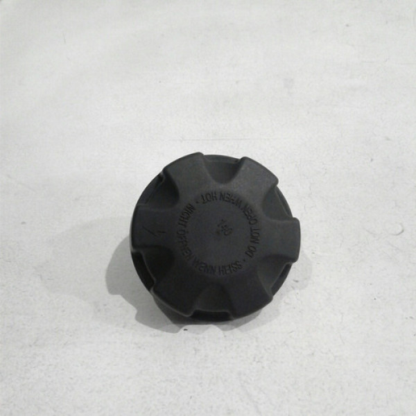 Tampa Reservatório Do Radiador Bmw X1 X3 X4 2014 Sku 50489