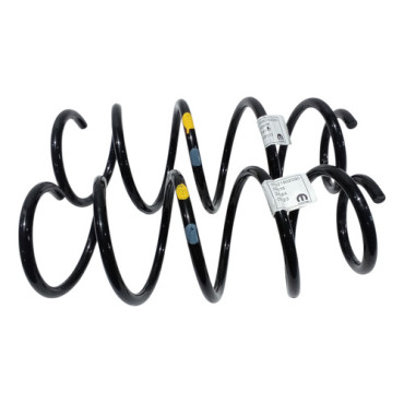 Par Mola Traseira Je...