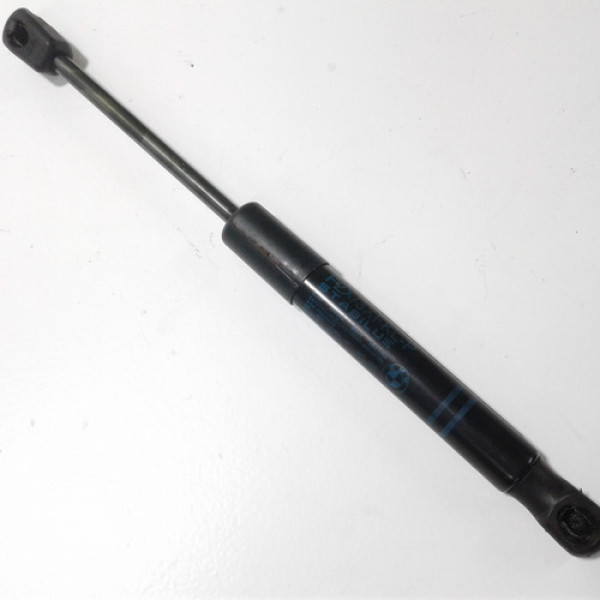 Amortecedor Do Capo Bmw 320 2012 Sku 35158