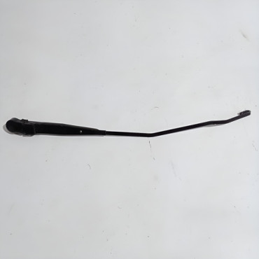 Braço Limpador Parab...