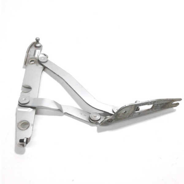 Braço Esquerdo Da Tampa Traseira - Audi - A4 - 2004