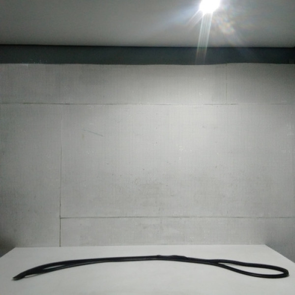 Borracha Porta Dianteira Direita G.carvival 2009 Cod 61205